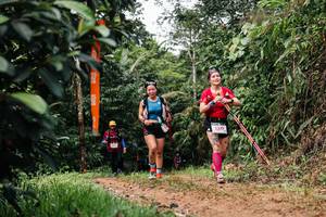 BIB: 
                            <button type="button" onclick="openModal(26436296)" class="btn btn-primary btn-sm float-right btn-popup" data-toggle="modal" data-target=".modal-high-quality">
                        <i class="fas fa-shopping-cart"></i> Add to Cart
                    </button>
                                            <button type="button" onclick="isThisMe(26436296, true)" class="btn btn-success btn-sm float-right btn-popup btn-isme hidden" data-toggle="tooltip" data-placement="bottom" title="นี่คือรูปของคุณใช่ไหม คลิกที่นี่เพื่อเอาเข้าอัลบั้ม">
                        <i class="fas fa-plus"></i> Add to album
                    </button>
                    <button type="button" onclick="isThisMe(26436296, false)" class="btn btn-warning btn-sm float-right btn-popup btn-isnotme hidden">
                        <i class="fas fa-ban"></i> Remove from album
                    </button>